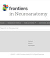 Frontiers in Neuroanatomy雜志封面